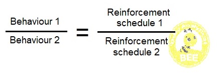 matching law equation