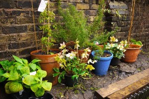 8646467670_82a1dbf7bd_z