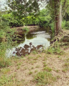 IMG_20190708_123243_020